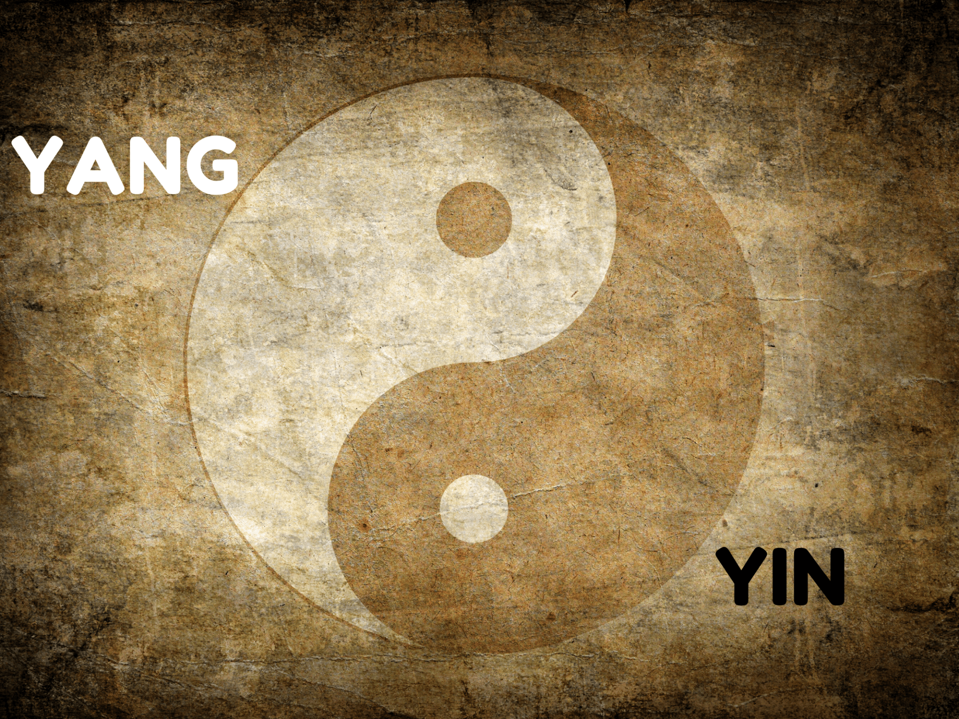 What is Yin and Yang?