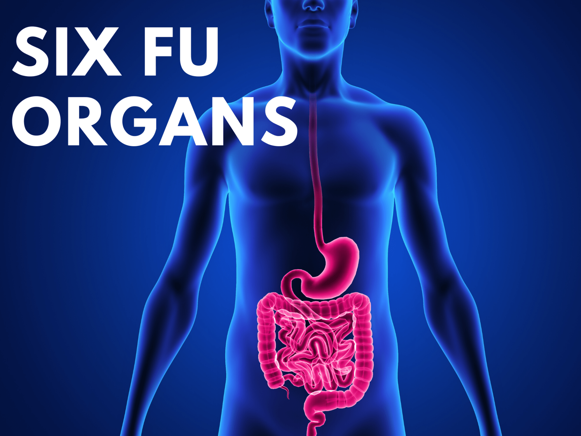 The Six Fu Organs