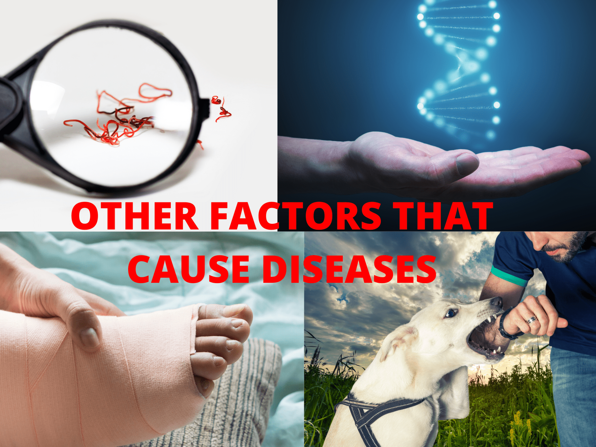 Other Factors that Cause Diseases